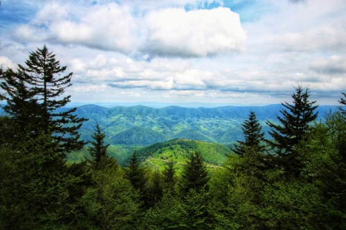 A panoramic view of lush green mountains under a partly cloudy sky, with evergreen trees in the foreground.
