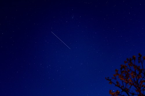 A clear night sky filled with stars, featuring a bright streak of light and a silhouette of a tree in the foreground.