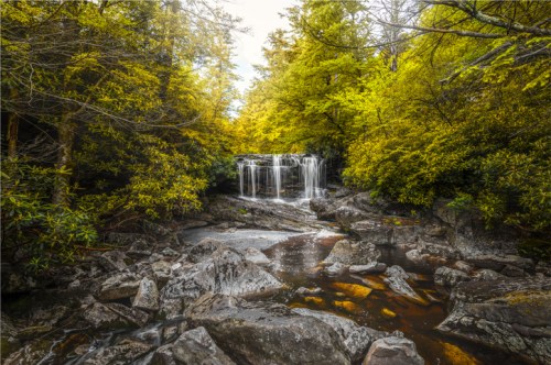 A serene waterfall cascades over rocks, surrounded by lush green trees and vibrant foliage.