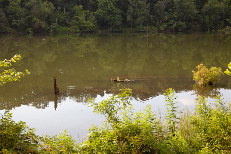 Paddling Through History’s Embrace