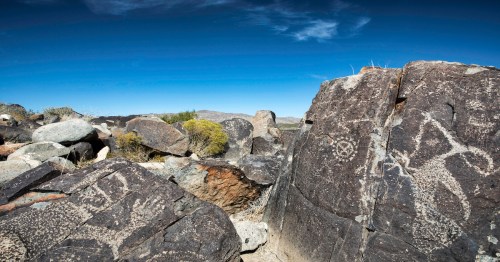Petroglyphs etched into large rocks, surrounded by desert landscape under a clear blue sky.