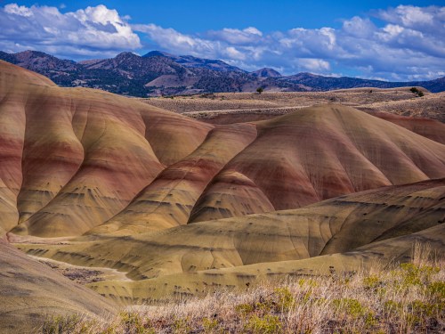 Colorful, undulating hills of the Painted Hills in Oregon, with a backdrop of mountains and a blue sky.