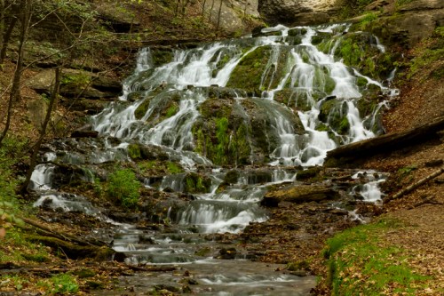 A serene waterfall cascades over moss-covered rocks, surrounded by lush greenery and fallen leaves.