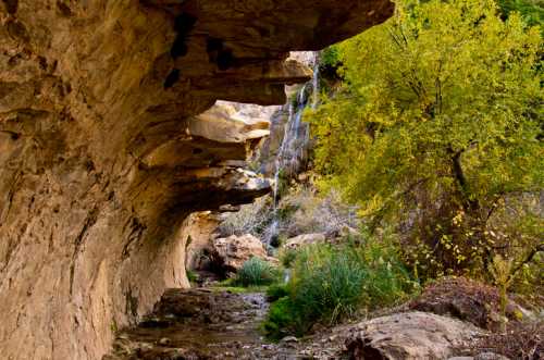 A rocky canyon with layered cliffs, a small stream, and vibrant green trees in a serene natural setting.