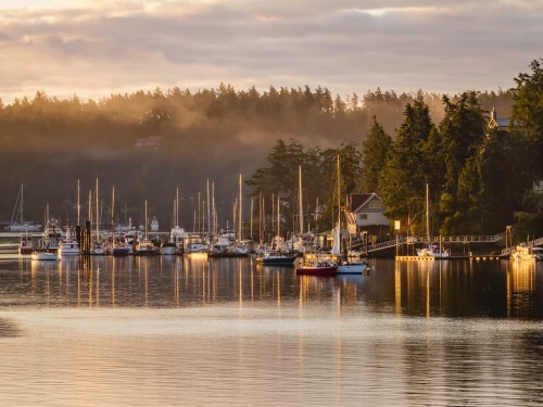 A serene marina at sunrise, with boats docked and mist rising over the trees along the shore.