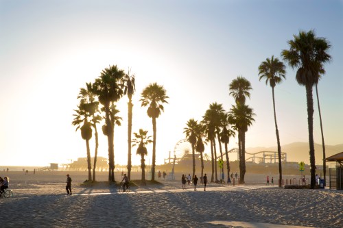 Silhouetted palm trees at sunset with a beach scene and amusement park in the background.