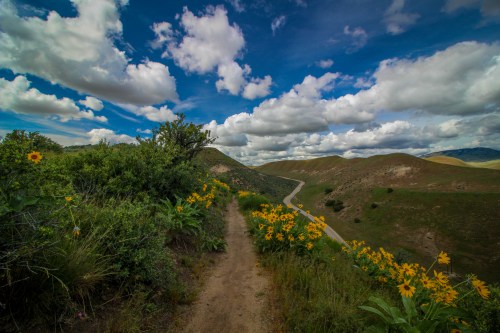 A winding dirt path through green hills, lined with yellow flowers, under a blue sky filled with fluffy white clouds.