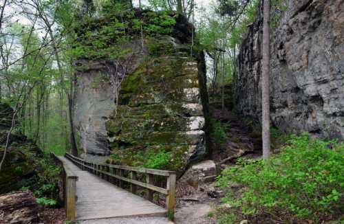 A wooden bridge leads through lush greenery and rocky cliffs in a serene forest setting.