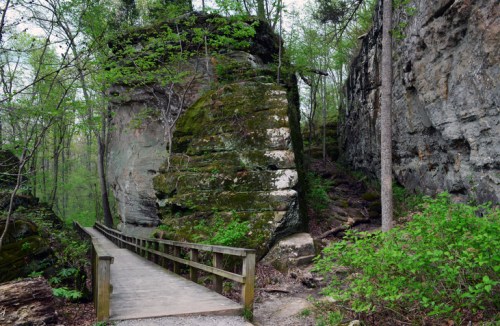 A wooden bridge leads through lush greenery and rocky cliffs in a serene forest setting.