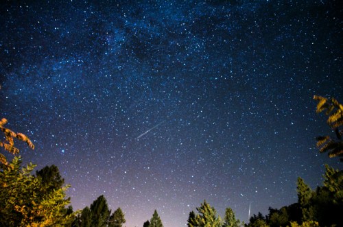 A starry night sky filled with countless stars and a faint meteor streaking across the scene, framed by trees below.