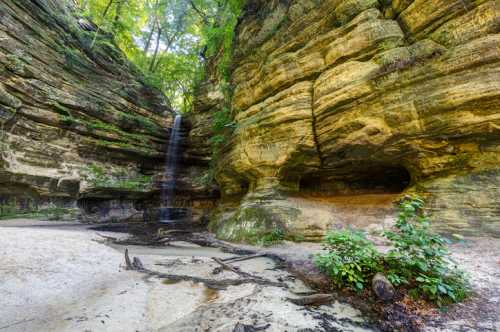 A serene waterfall cascades down rocky cliffs in a lush, green forest, surrounded by sandy ground and fallen logs.