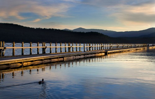 A serene lake at sunset with a wooden pier extending into the water and a duck swimming nearby.