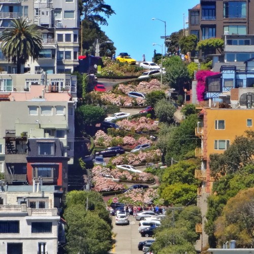 A steep, winding street lined with colorful flowers and parked cars, surrounded by buildings and palm trees.