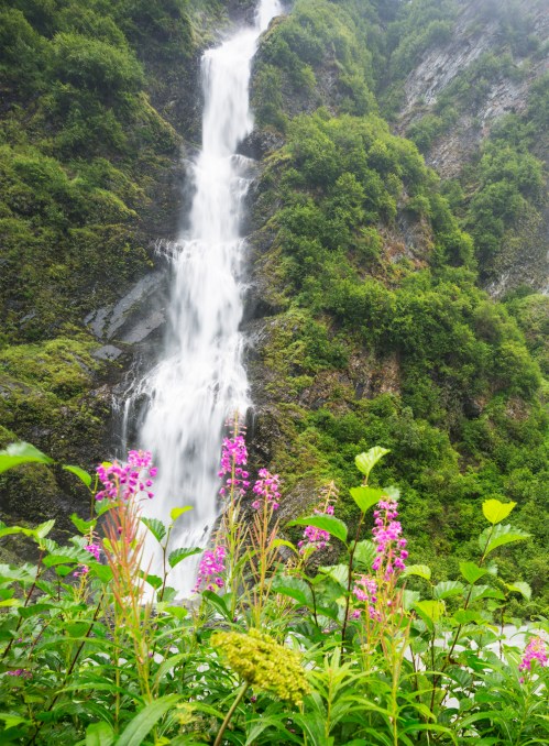 A cascading waterfall surrounded by lush green mountains and vibrant purple flowers in the foreground.