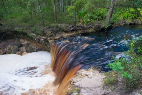 A serene waterfall cascades over rocks into a dark stream, surrounded by lush green foliage in a tranquil forest setting.