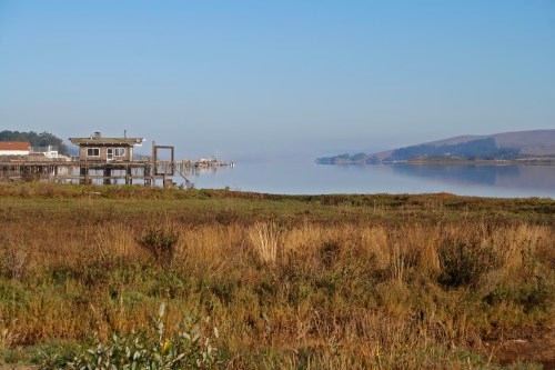 A calm river scene with a wooden pier, a small building, and grassy banks under a clear blue sky.