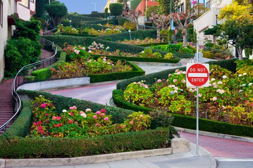 A winding road with lush greenery and colorful flowers, featuring a "Do Not Enter" sign.