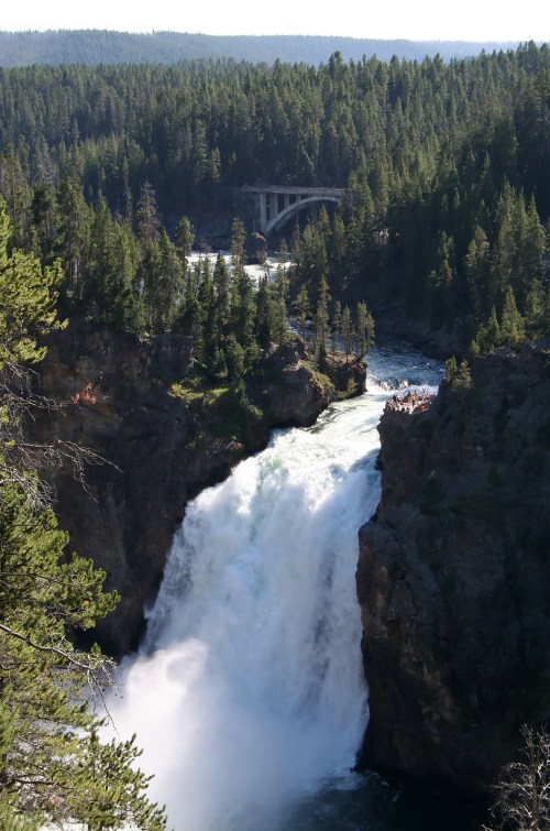 A stunning waterfall cascades into a river, surrounded by lush green trees and a bridge in the background.