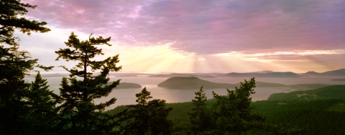 A scenic view of islands and water at sunset, framed by tall trees and soft, colorful clouds in the sky.