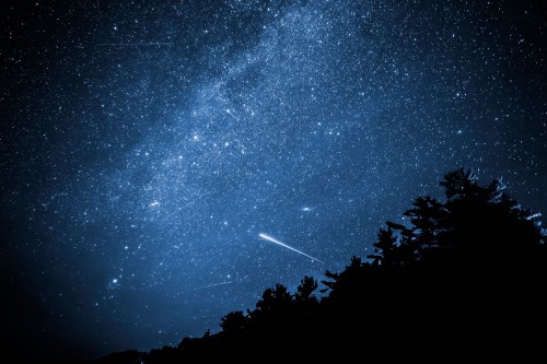 A starry night sky filled with stars and shooting meteors, silhouetted by dark tree outlines at the bottom.