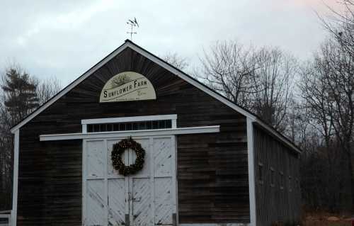 A rustic barn with a sign reading "Sunflower Farm" and a wreath on the door, surrounded by bare trees.