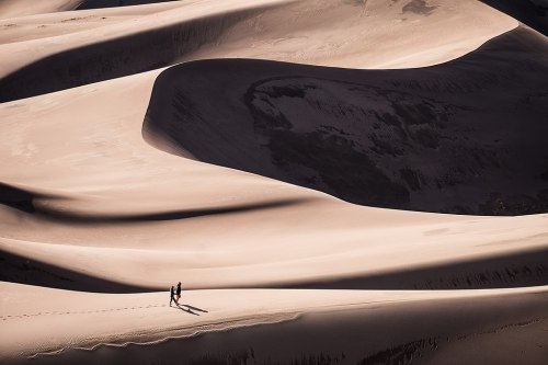 A lone figure walks across undulating sand dunes, casting a long shadow in the warm light of the desert.