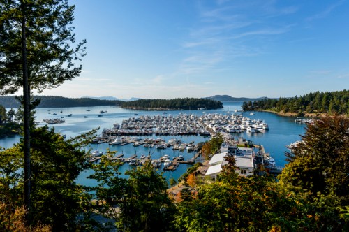 A scenic view of a marina filled with boats, surrounded by trees and hills under a clear blue sky.