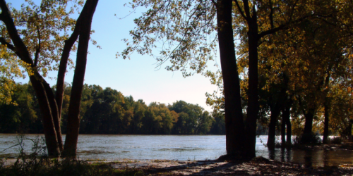 A serene river scene framed by trees, with clear blue skies and autumn foliage reflecting on the water's surface.