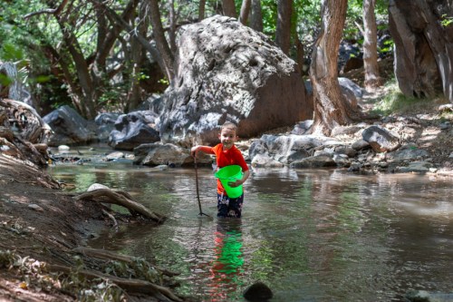 A child wades in a shallow stream, holding a stick and a green bucket, surrounded by trees and rocks.