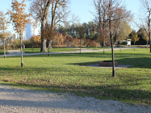 A park scene with grassy areas, bare trees, and a fire pit surrounded by fallen leaves under a clear blue sky.