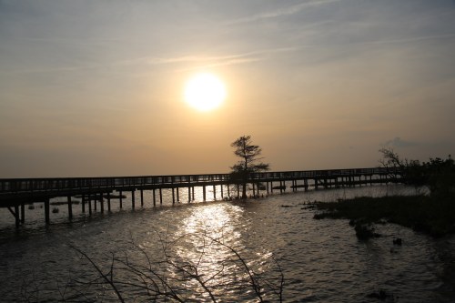 A serene sunset over water, with a wooden pier extending into the horizon and a lone tree silhouetted against the sky.