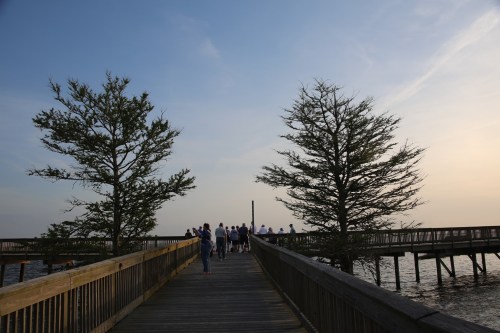 A wooden pier extends over water, with people walking and trees on either side under a blue sky at sunset.
