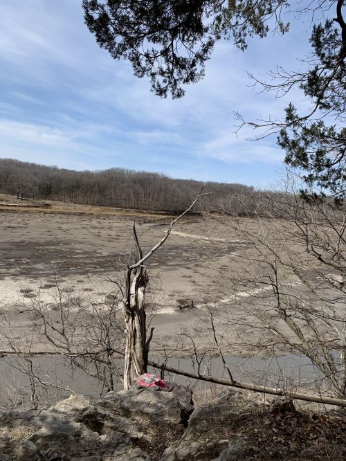 A dry, cracked riverbed surrounded by bare trees under a blue sky, with a distant forest in the background.