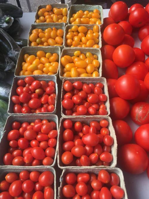 Colorful display of cherry tomatoes in red and yellow, arranged in cardboard containers at a market.