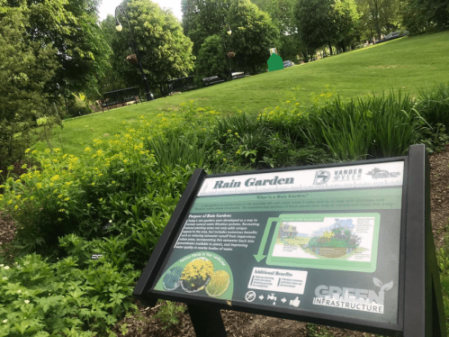 A sign about a rain garden in a park, surrounded by lush greenery and flowers, with trees in the background.
