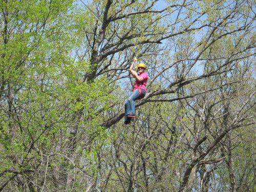 A person in a helmet zip-lining through trees on a sunny day, surrounded by green foliage.