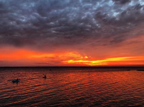 A vibrant sunset over a calm lake, with orange and purple hues reflecting on the water and silhouettes of ducks.