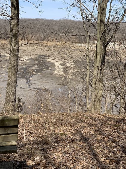 A view of a dry riverbed surrounded by bare trees and fallen leaves, with a clear blue sky above.