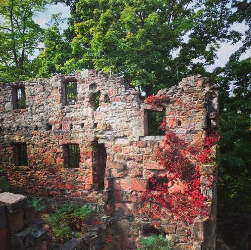 Ruins of a stone building covered in greenery and red vines, surrounded by lush trees.