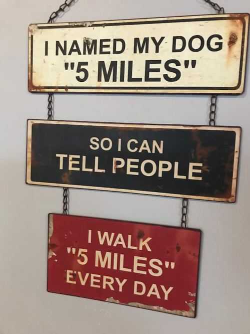 Three humorous signs: "I named my dog '5 Miles', so I can tell people I walk '5 miles' every day."
