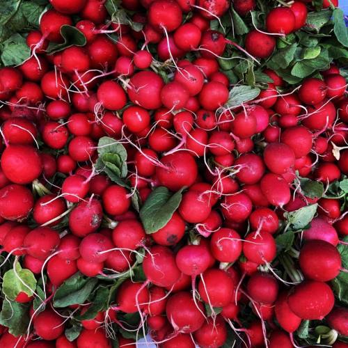 A close-up of a pile of vibrant red radishes with green leaves and roots visible.