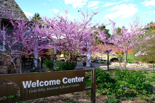 A sign for the Welcome Center surrounded by blooming pink trees at Cedar Valley Arboretum & Botanic Gardens.
