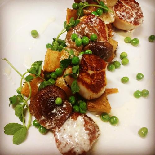 A beautifully plated dish featuring seared scallops, sautéed mushrooms, green peas, and crispy potatoes, garnished with microgreens.