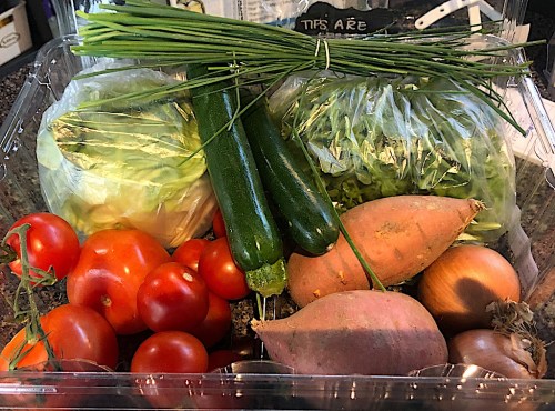 A variety of fresh vegetables including tomatoes, zucchini, sweet potatoes, onions, and leafy greens in a container.