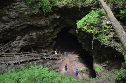 A cave entrance surrounded by lush greenery, with wooden walkways and visitors exploring the area.