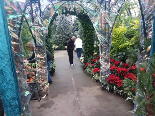 A lush greenhouse with vibrant plants and flowers, featuring visitors exploring the colorful displays.