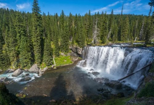 A serene waterfall cascades into a clear pool, surrounded by lush green trees and a bright blue sky.