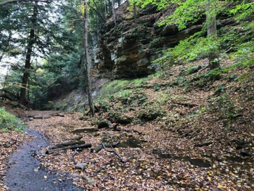 A serene forest scene with a rocky cliff, a winding path, and a stream surrounded by autumn leaves.