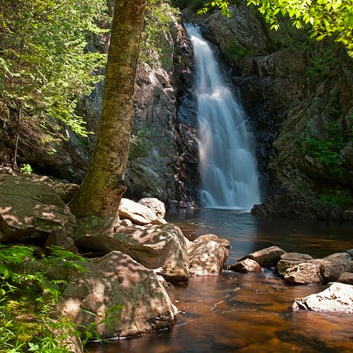 A serene waterfall cascades over rocks into a calm pool, surrounded by lush greenery and sunlight filtering through trees.