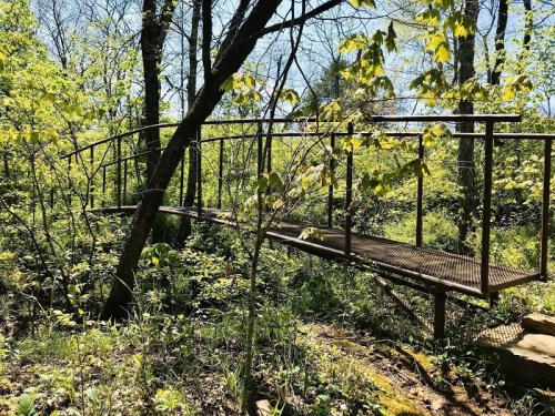 A rusted metal bridge surrounded by lush greenery and trees in a serene natural setting.